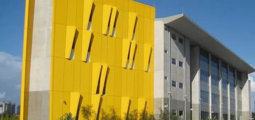 餐饮管理专业大学生的职场蜕变之路